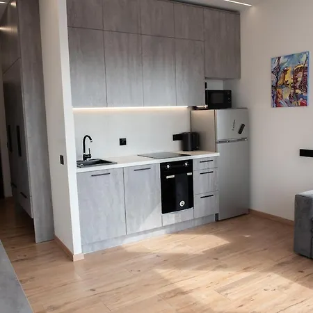 Sunlit Loft- Prime Views Apartment Vilnius