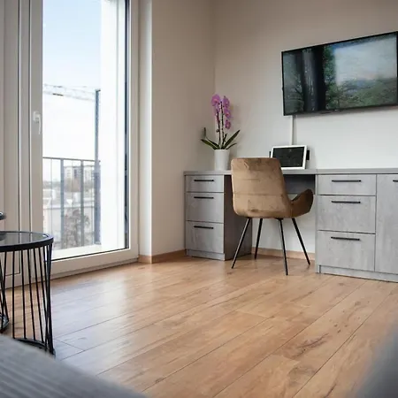 Lägenhet Sunlit Loft- Prime Views Vilnius