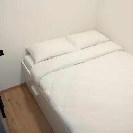 Sunlit Loft- Prime Views * 维尔纽斯